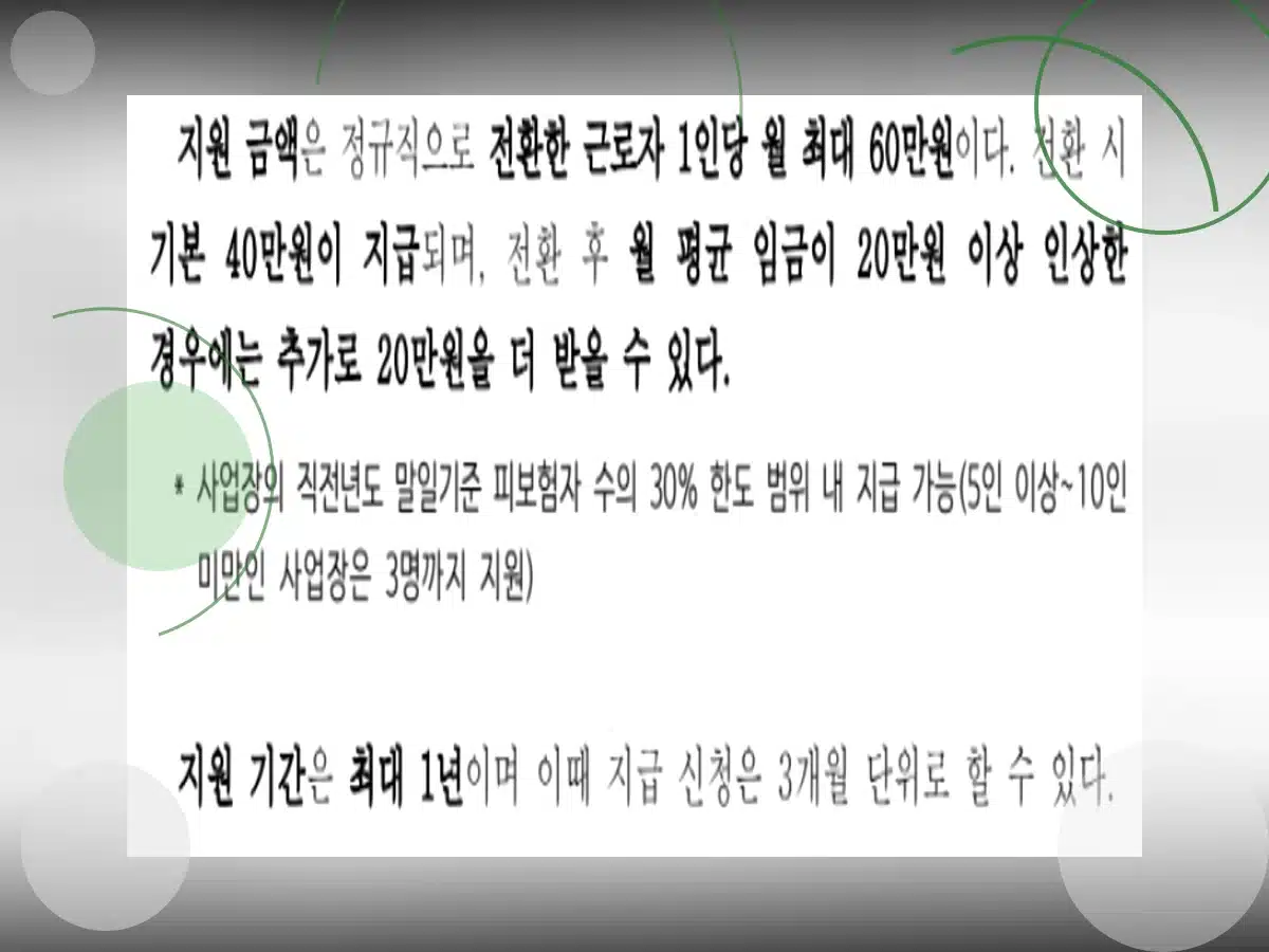 정규직 전환 지원금_h2_1