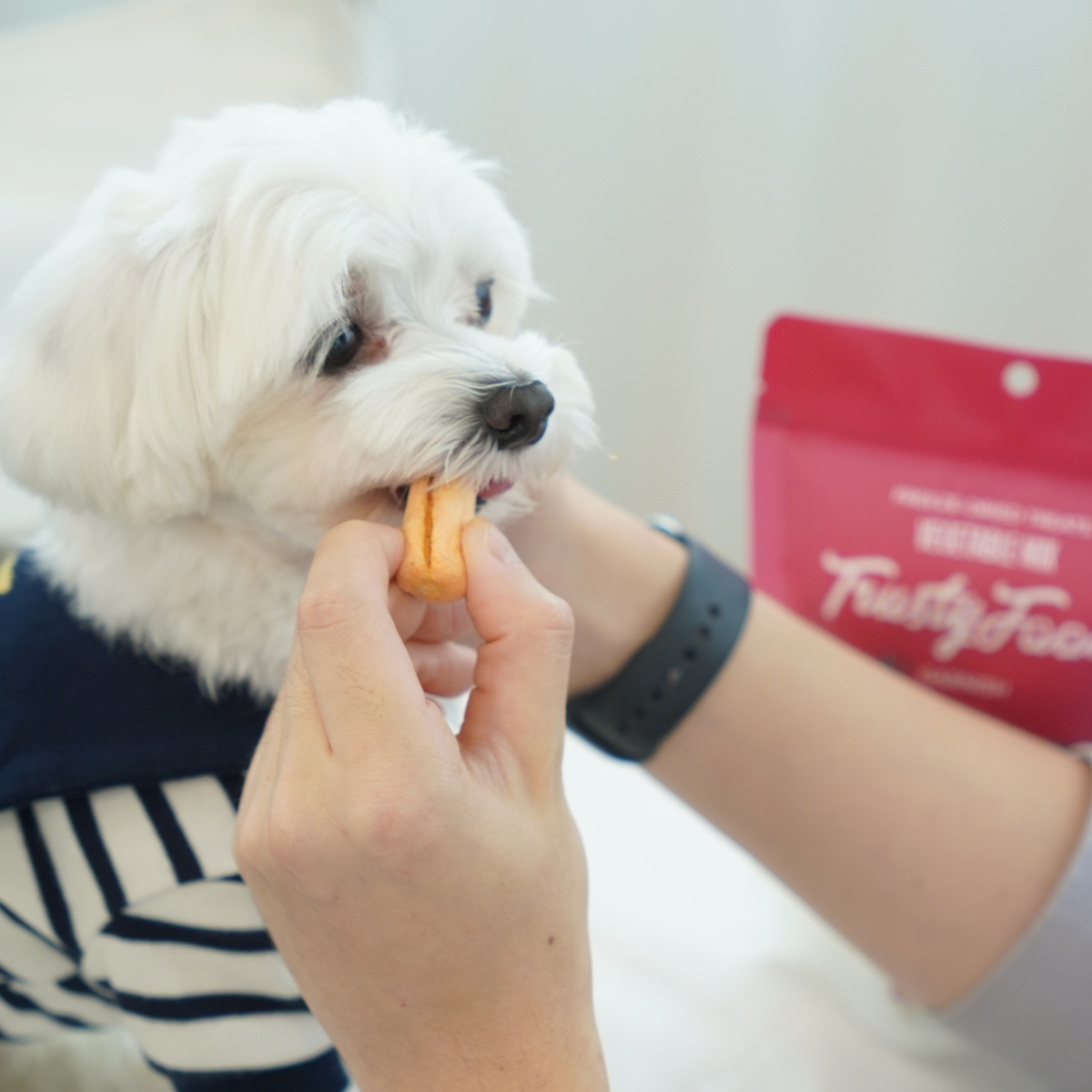 우리 아이 건강 지킴이